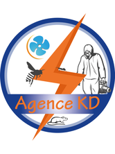 Logo Agence KD